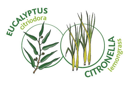 landing-detail-image